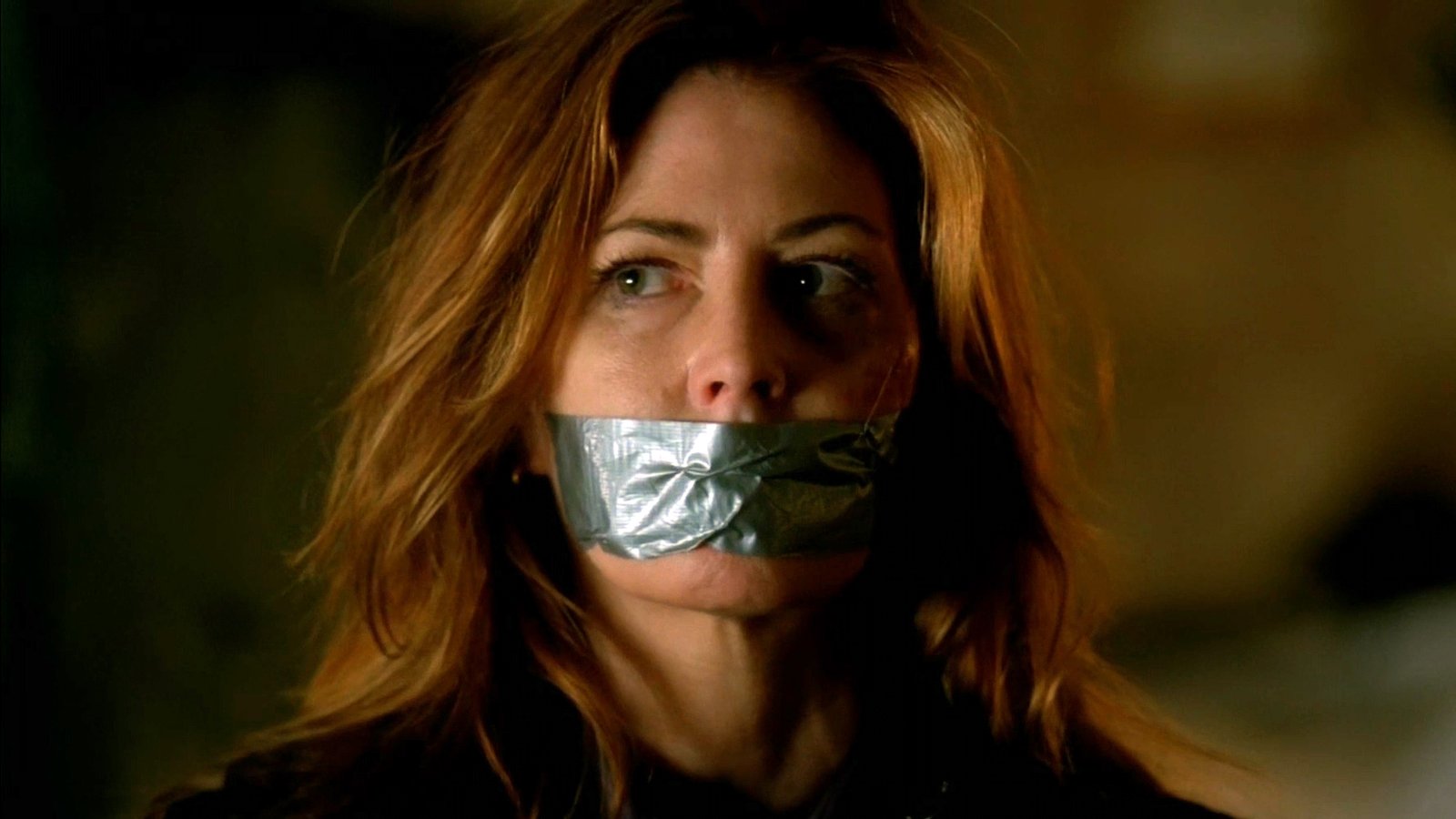 Dana delany on castle