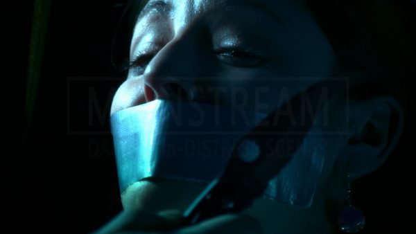 Flashpoint, Amanda Leblanc pregnant bound and tape gagged 15