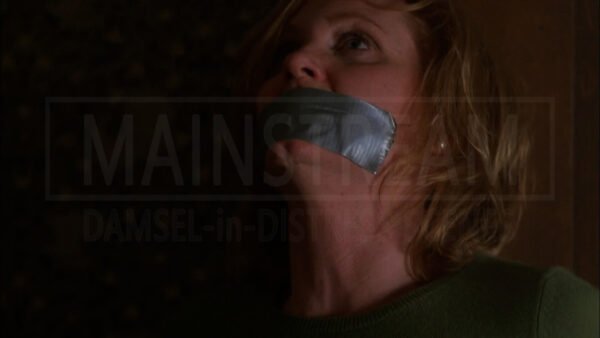 Judith Hoag kidnapped bound tape gagged 22