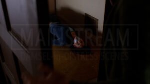 Stacy Haiduk kidnapped bound tape gagged 23